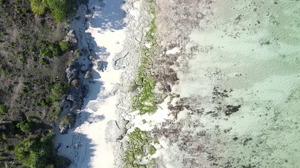 Ocean Low Tide Near the Coast of Zanzibar Island Tanzania