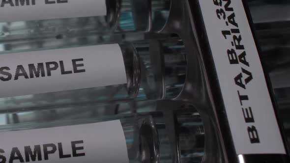 Beta B.1.351 South Africa Variant Test Tube Vials In Rack. Vertical Video, Tilt Up, Close Up