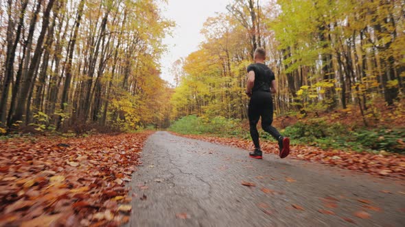 The Athlete is Running Along a Forest Road