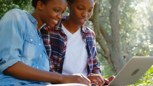 Twin sisters using laptop in the park 4k
