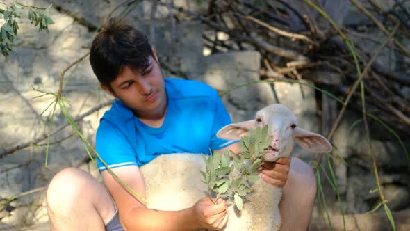 Farmer Man Feeding Lamb