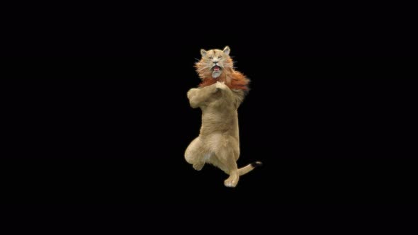 Lion Dancing 4K