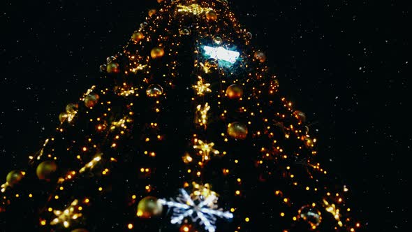 Video Below of a Tree in the City Beautifully Decorated with Lights While Outside It is Magically