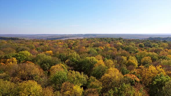 Aerial shot of forest landscape. Aerial view over forest in autumn