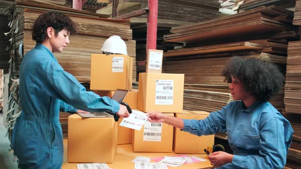 Two workers use a bar code scanner to check orders stock at parcels warehouse.