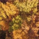 A Drone Flies Over the Autumn Forest. Autumn in Central Russia. the View from The Height. - VideoHive Item for Sale