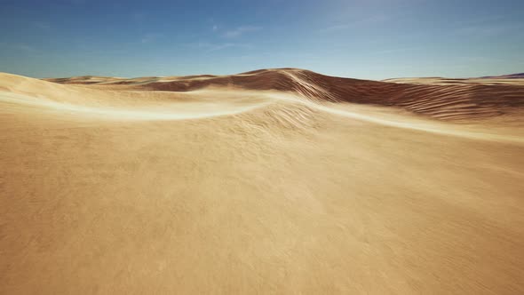 Wide and Wild Landscape of the Arabic Sand Desert