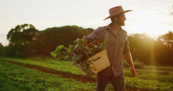 Walking on the farm at sunset