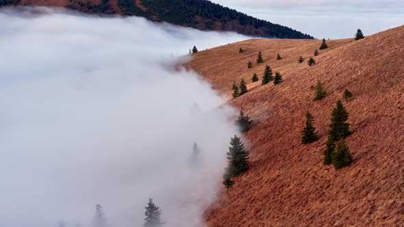 The fog in the mountains spills over the trees in the national park in the Slovak Carpathians