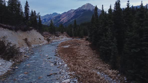 Creek and mountain with pine tree forest approaching