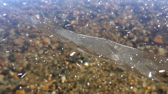 Thick Floe Glassy Ice on Frozen Water Surface in Winter