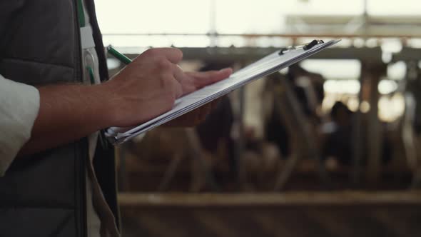 Livestock Worker Making Notes in Cowshed