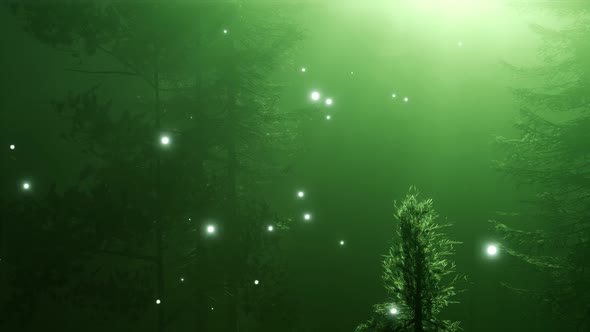 Magical Forest with Sparkles alt