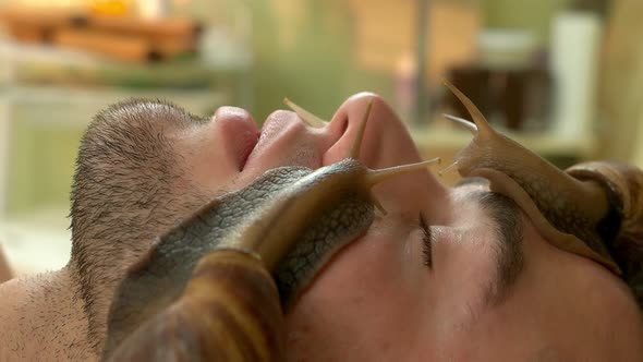 Close Up Big Snails on Young Male Face