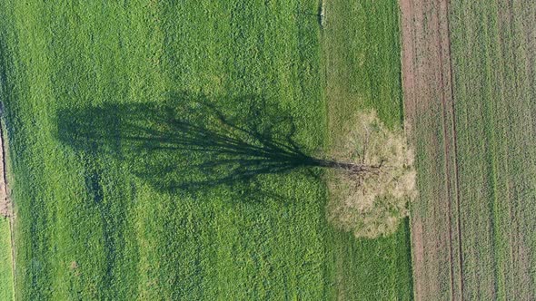 Push-out drone shot of agricultural land in Germany