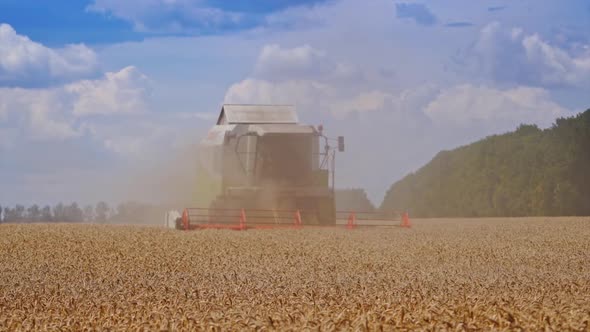 Combine harvester harvesting wheat with dust straw in the air