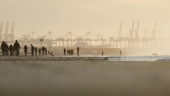 Beautiful Moody Cinematic Shot of Silhouetted People on Hook of Holland Beach