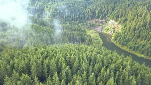 Traveling in the air over the tree line with a river in the distance.