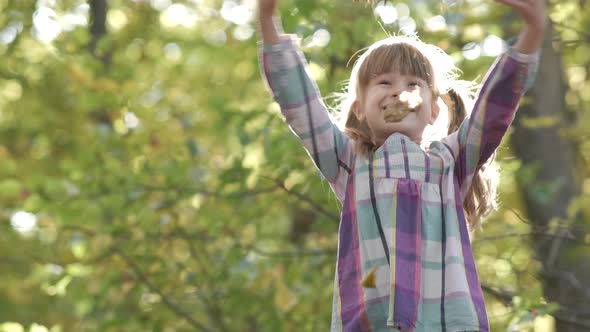 Portrait of Happy Child Girl with Bunch of Yellow Autumn Leaves Smiling in Camera on Bright Blurred