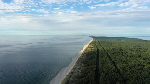 AERIAL: Rotating Shot of Green Forest Cloudy Sky and Rippling Baltic Sea in Nida