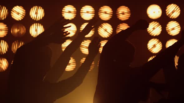 Silhouette People Waving Hands Rhythmically on Concert