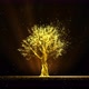 Magic Tree - VideoHive Item for Sale