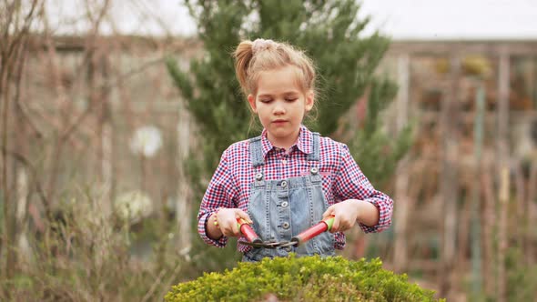 a Funny Little Girl Cuts Bushes in the Garden with Large Pruner