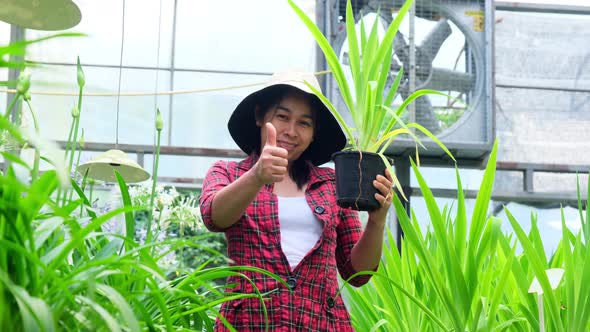 Gardener woman holding small plant pot and looking at camera in greenhouse.