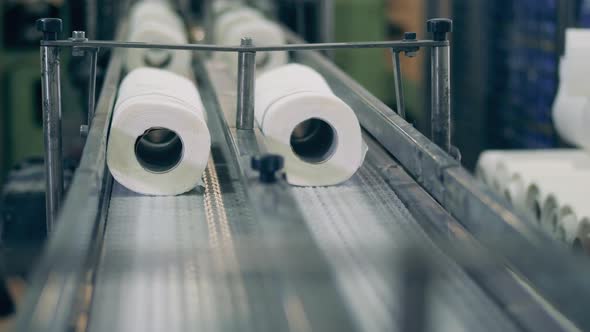 Sets of Toilet Paper Rolls Are Going Through the Industrial Conveyor