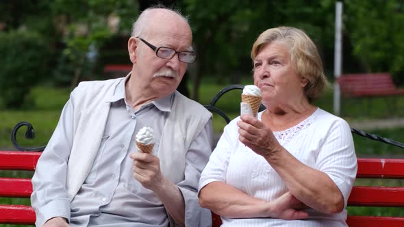 Grandpa and Grandma are Sitting on a Bench in a Park in New York USA