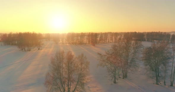 Aerial Drone View of Cold Winter Landscape with Arctic Field Trees Covered with Frost Snow and