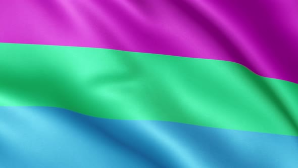 Polysexual Pride flag | UHD | 60fps