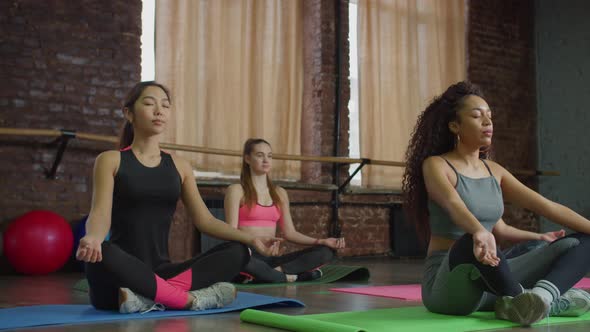 Calm Multiethnic Females Practicing Yoga Meditation