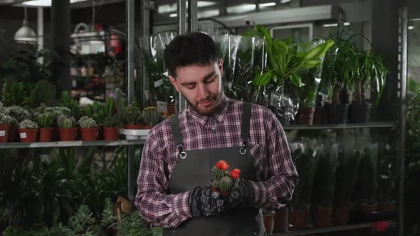 Male Florist Holding Cactus and Looking at Camera