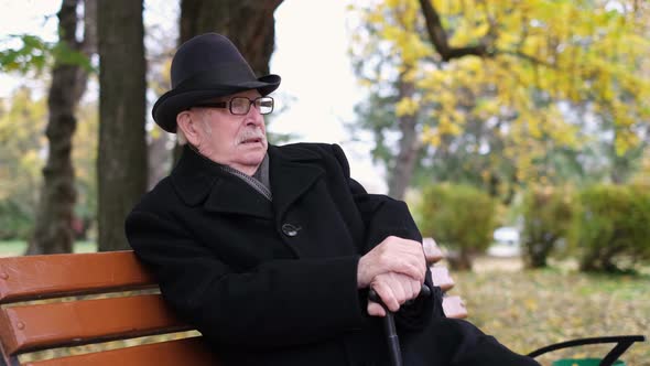 Elderly Grandfather Sitting on a Bench in the Autumn Park