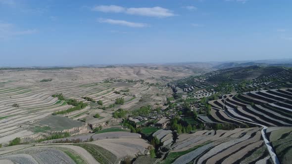 Aerial View of Terraced Farm Field Mass Production During Summer Dry Season