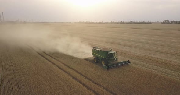 A Green Combine Harvests Wheat, On A Large Field In The Evening, Summer, A Large Farm