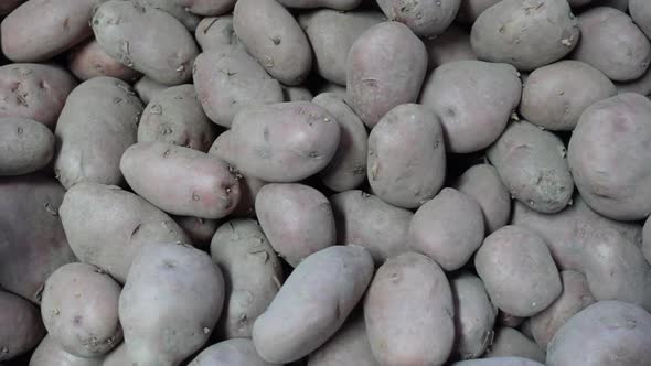 Pile of Potatoos