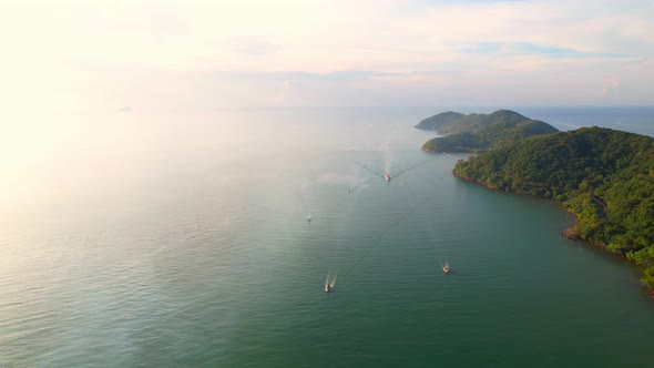 Many fishing boats were sailing in the sea near the bays and estuaries