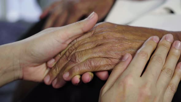 senior and young holding hands