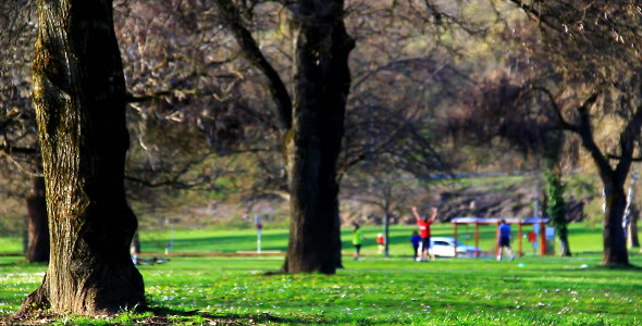 Playing in the Park