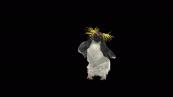 Penguin Dancing 4K