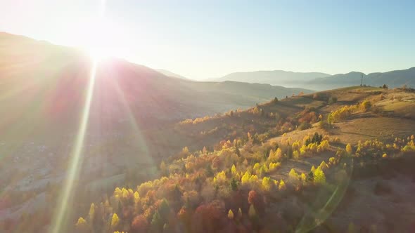 The Mountain Forest on the Background of the Sunset