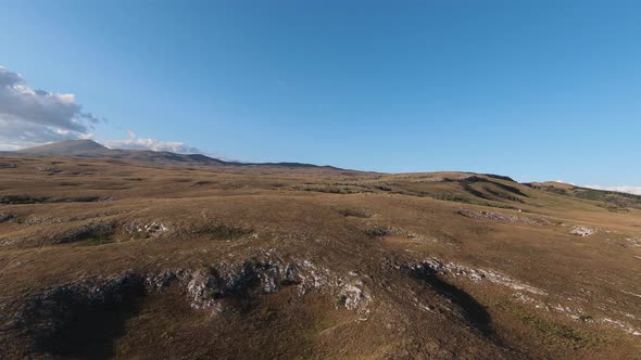 Aerial FPV Drone Shot of a Chasing and Flying Close Around Herd of Wild Horses Running on a Field at