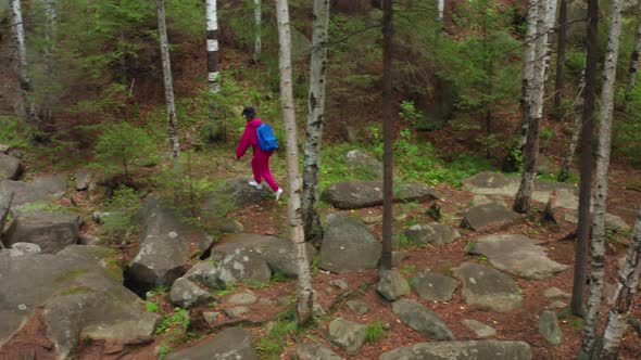 Aerial View of a Girl Walking in the Woods