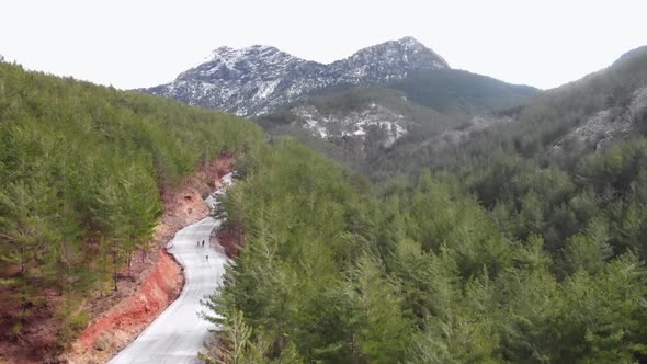 Cycling in forest mountains