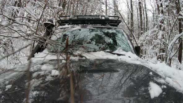 Winter forest inside. Car rides