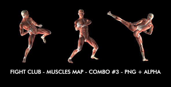 Fight Club - Muscles Map - Combo #3