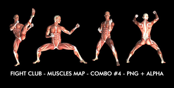 Fight Club - Muscles Map - Combo #4