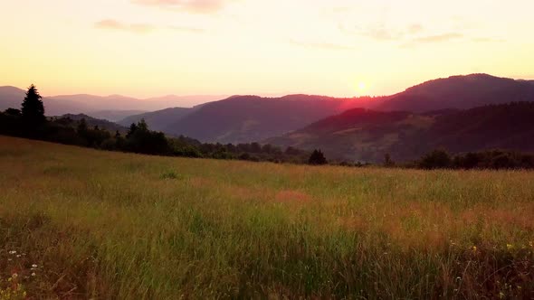 Aerial View of the Endless Lush Pastures of the Carpathian Expanses and Agricultural Land